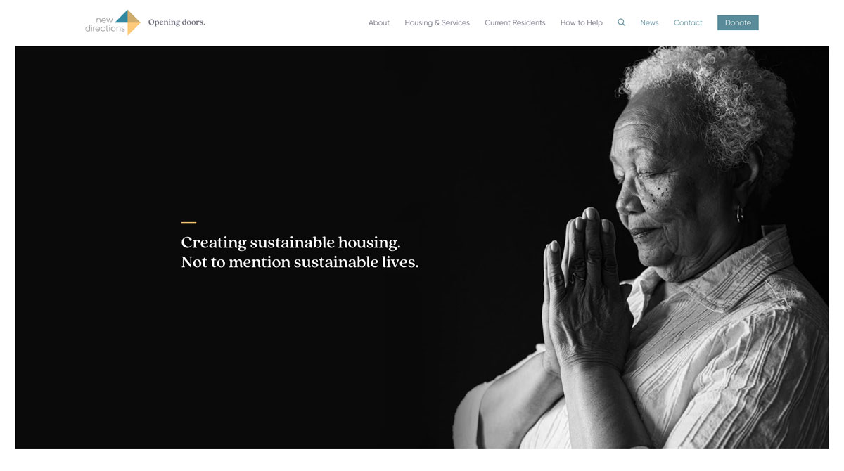 Screenshot of New Directions website.